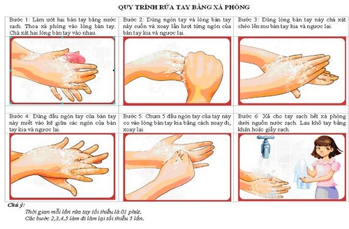 Thường xuyên rửa tay với xà phòng cũng là cách bảo vệ sức khỏe khỏi các bệnh truyền nhiễm, trong đó có liên cầu lợn.